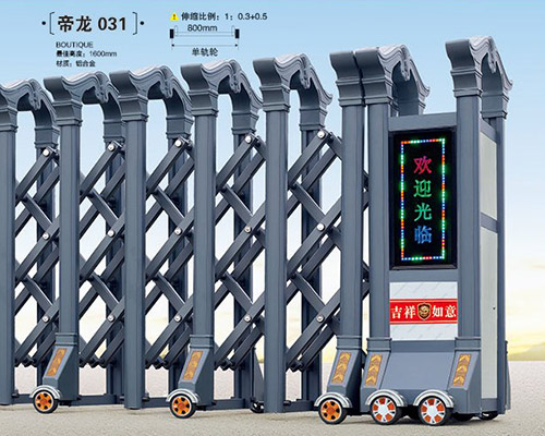 帝龙031