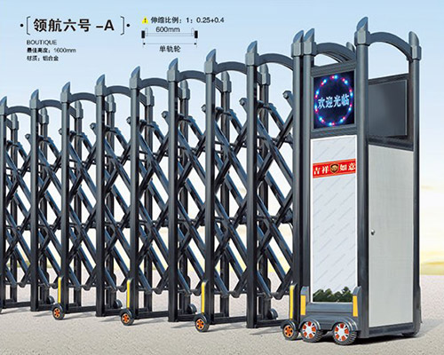 六号